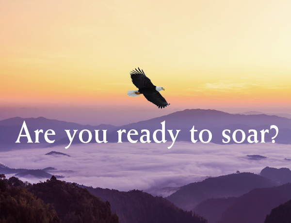 Are you read to SOAR?